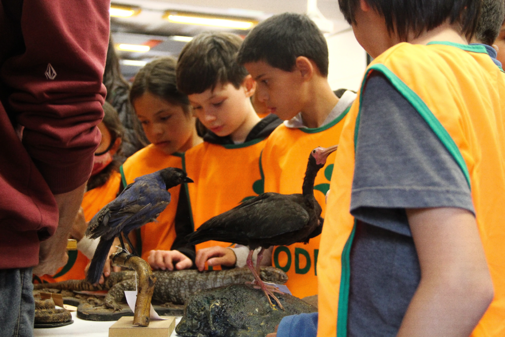 6744e2_591f80bc22384f188b722a2658cbf6db_mv2