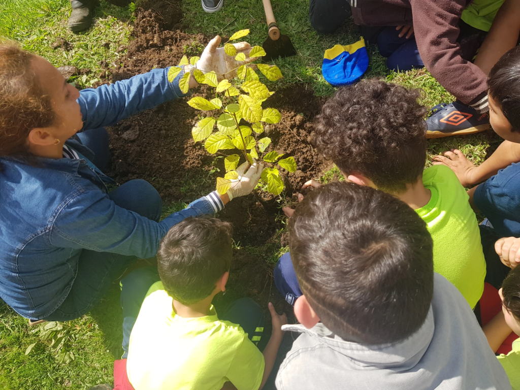 6744e2_9f11354a350d4694953c9d15781eca62_mv2-_1_